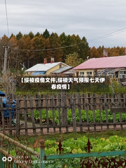【绥棱疫情文件,绥棱天气预报七天伊春疫情】-第2张图片