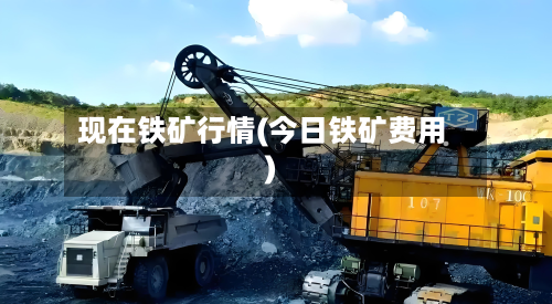 现在铁矿行情(今日铁矿费用)-第2张图片
