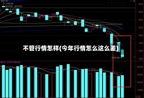 不管行情怎样(今年行情怎么这么差)-第2张图片