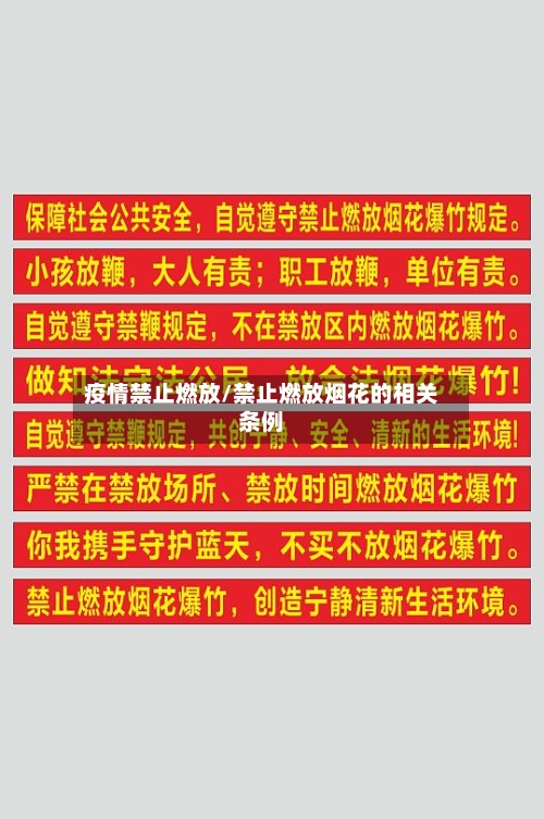 疫情禁止燃放/禁止燃放烟花的相关条例-第2张图片