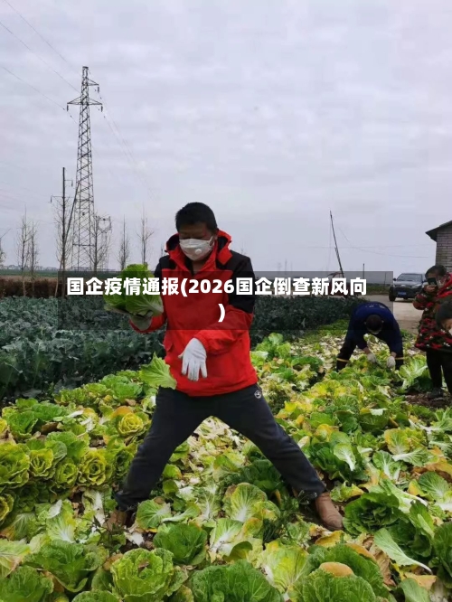国企疫情通报(2026国企倒查新风向)-第3张图片