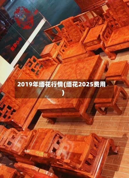 2019年缅花行情(缅花2025费用)