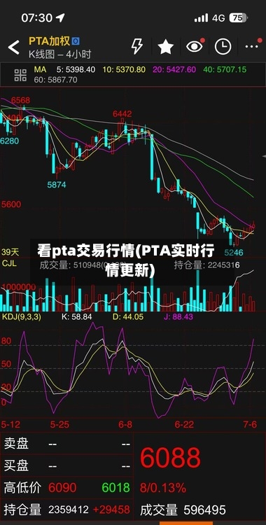 看pta交易行情(PTA实时行情更新)