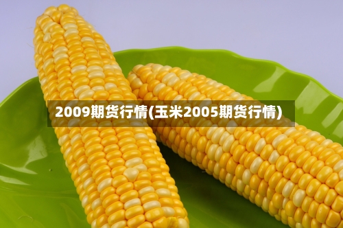 2009期货行情(玉米2005期货行情)