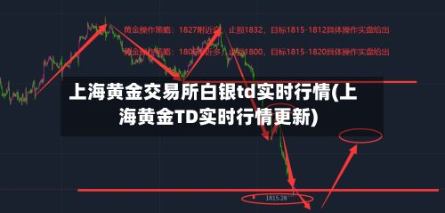 上海黄金交易所白银td实时行情(上海黄金TD实时行情更新)
