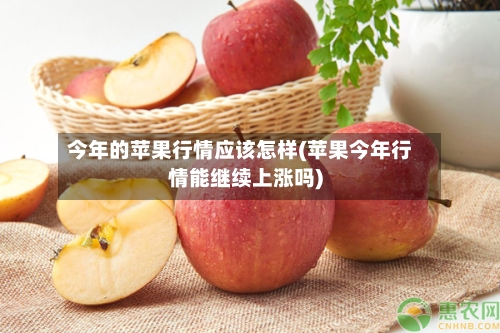 今年的苹果行情应该怎样(苹果今年行情能继续上涨吗)-第3张图片