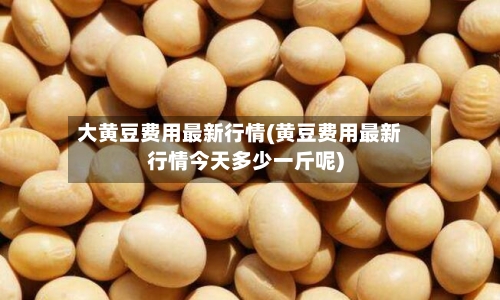 大黄豆费用最新行情(黄豆费用最新行情今天多少一斤呢)