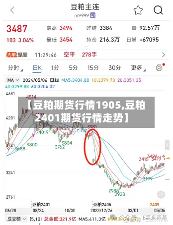 【豆粕期货行情1905,豆粕2401期货行情走势】