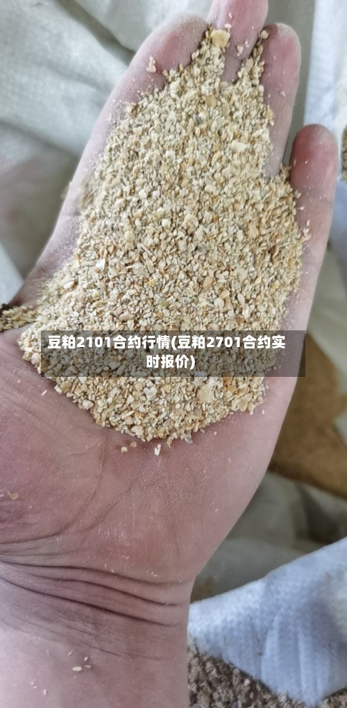 豆粕2101合约行情(豆粕2701合约实时报价)-第2张图片