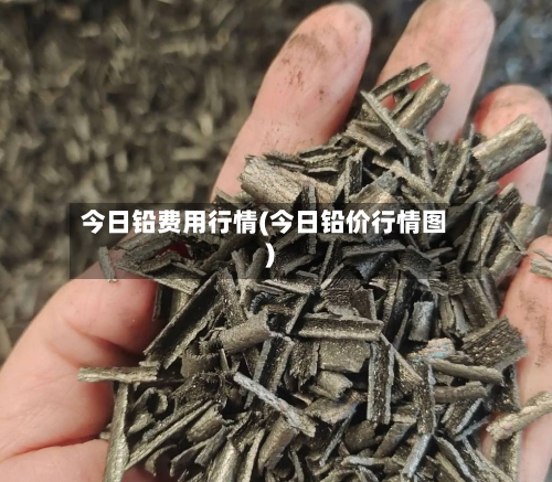 今日铅费用行情(今日铅价行情图)-第2张图片