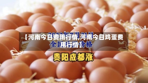 【河南今日费用行情,河南今日鸡蛋费用行情】-第2张图片