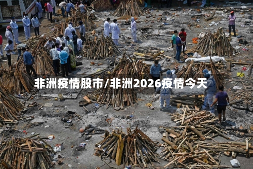 非洲疫情股市/非洲2026疫情今天-第2张图片