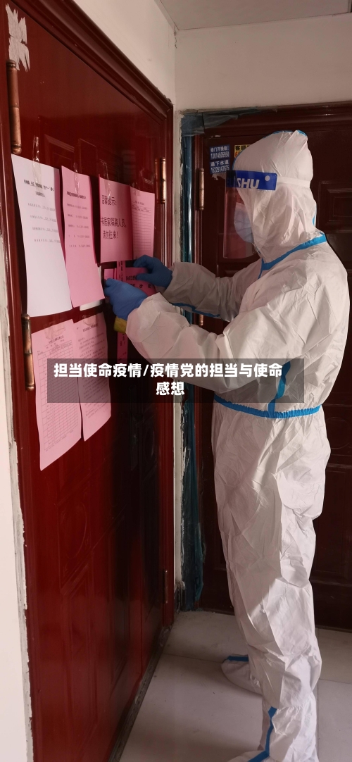 担当使命疫情/疫情党的担当与使命 感想