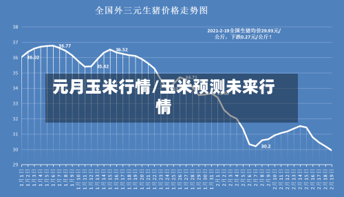 元月玉米行情/玉米预测未来行情