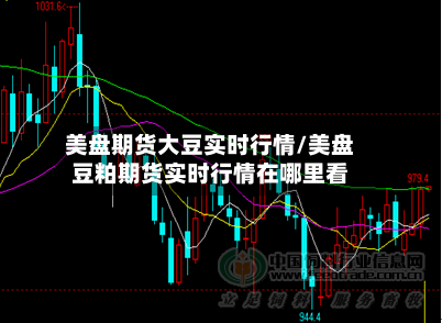 美盘期货大豆实时行情/美盘豆粕期货实时行情在哪里看