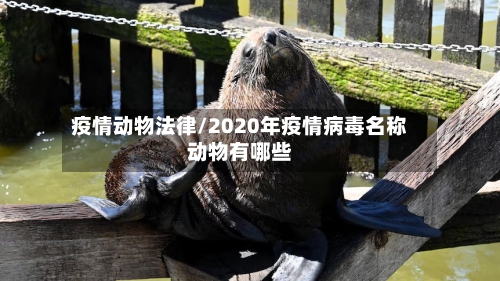 疫情动物法律/2020年疫情病毒名称动物有哪些