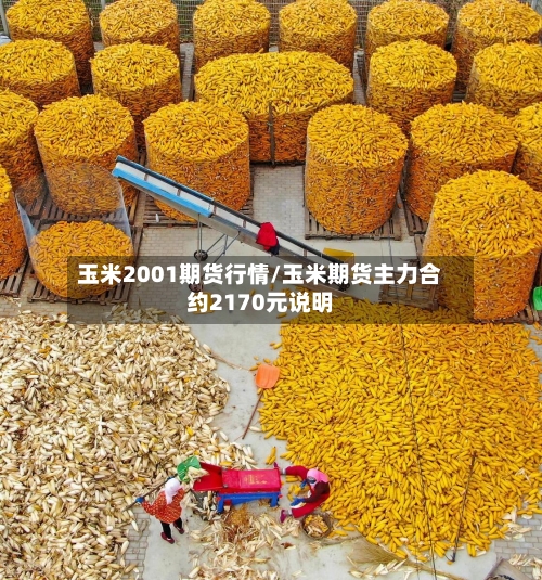 玉米2001期货行情/玉米期货主力合约2170元说明