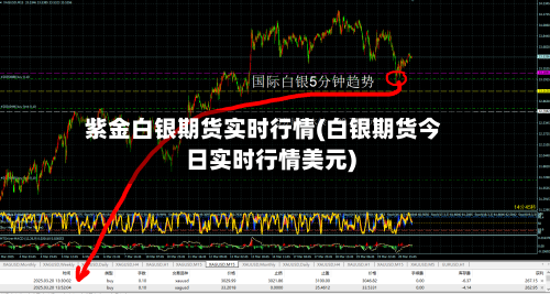 紫金白银期货实时行情(白银期货今日实时行情美元)-第3张图片