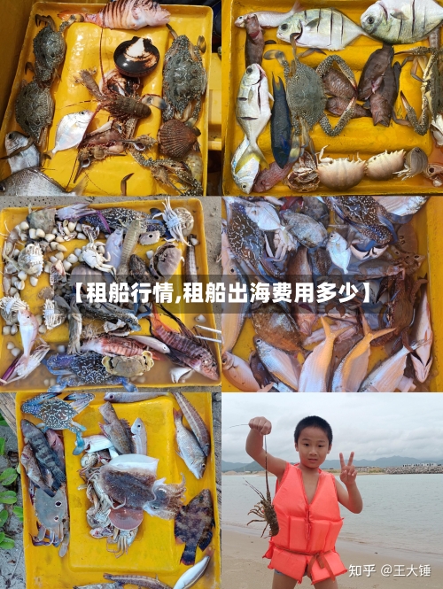 【租船行情,租船出海费用多少】
