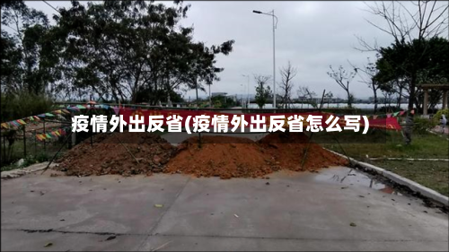 疫情外出反省(疫情外出反省怎么写)