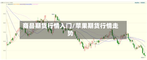 商品期货行情入门/苹果期货行情走势