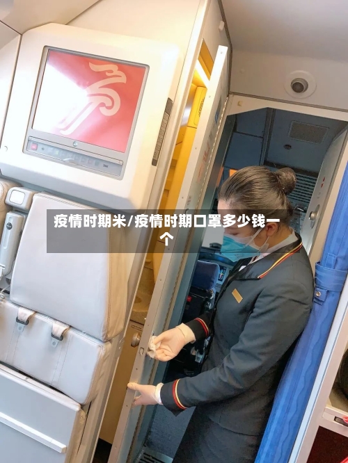 疫情时期米/疫情时期口罩多少钱一个