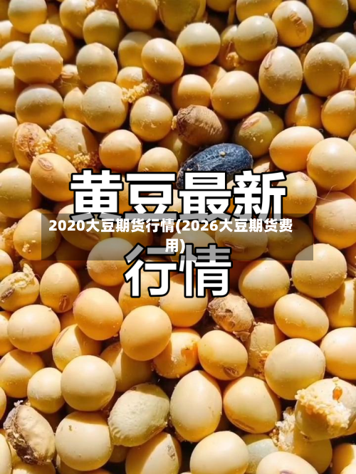 2020大豆期货行情(2026大豆期货费用)