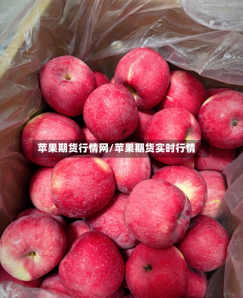苹果期货行情网/苹果期货实时行情