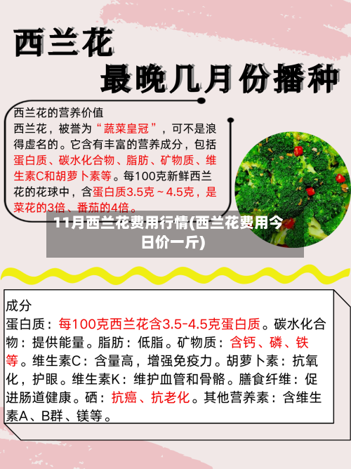 11月西兰花费用行情(西兰花费用今日价一斤)