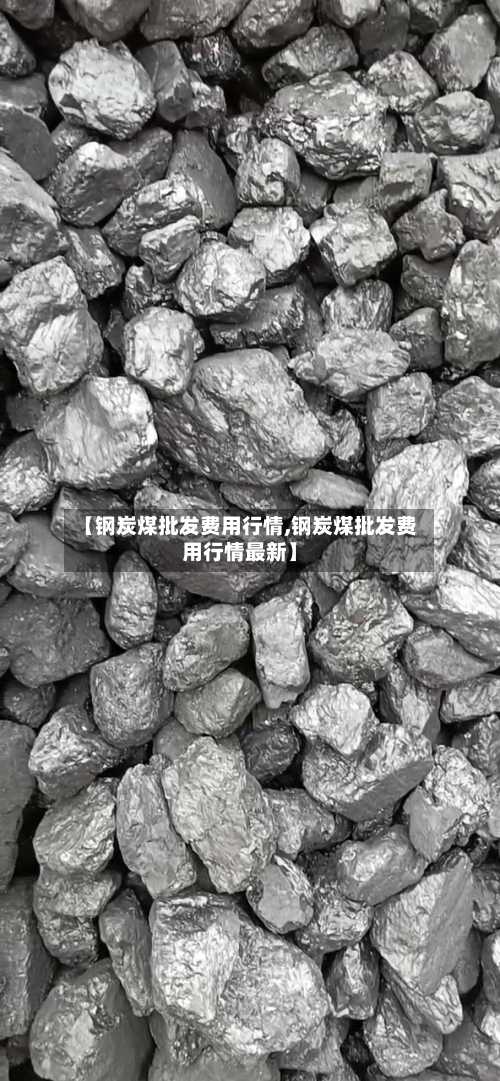 【钢炭煤批发费用行情,钢炭煤批发费用行情最新】