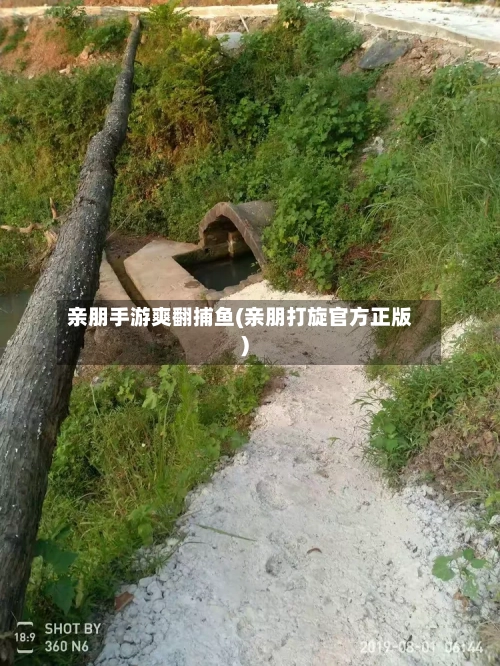 亲朋手游爽翻捕鱼(亲朋打旋官方正版)