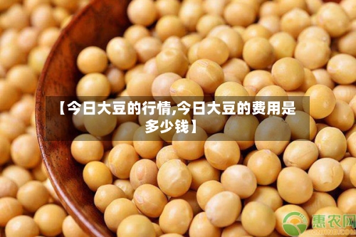 【今日大豆的行情,今日大豆的费用是多少钱】-第2张图片