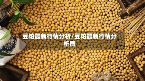豆粕最新行情分析/豆粕最新行情分析图-第2张图片