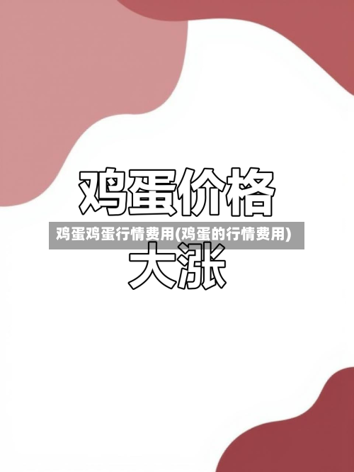 鸡蛋鸡蛋行情费用(鸡蛋的行情费用)-第2张图片