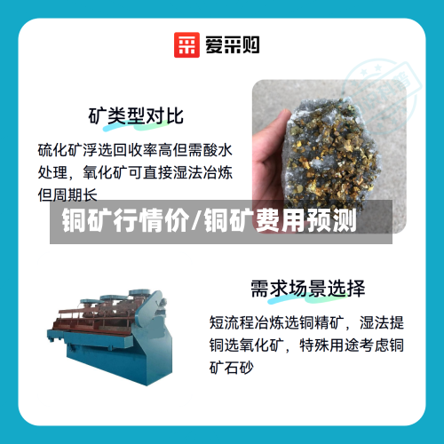 铜矿行情价/铜矿费用预测-第2张图片