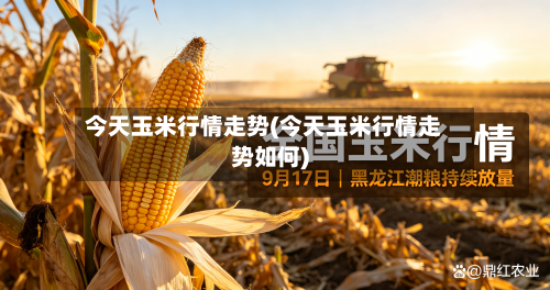 今天玉米行情走势(今天玉米行情走势如何)-第2张图片
