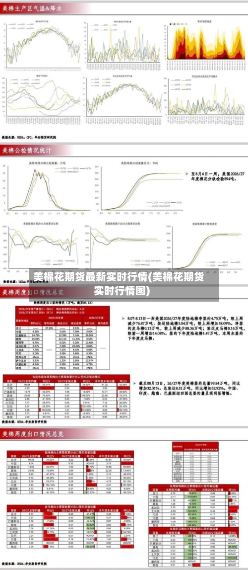 美棉花期货最新实时行情(美棉花期货实时行情图)-第2张图片