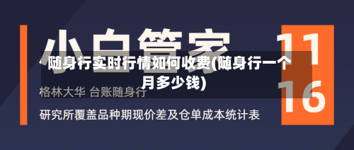随身行实时行情如何收费(随身行一个月多少钱)