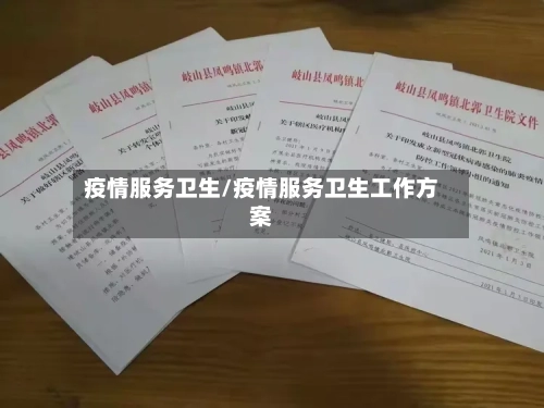 疫情服务卫生/疫情服务卫生工作方案-第3张图片