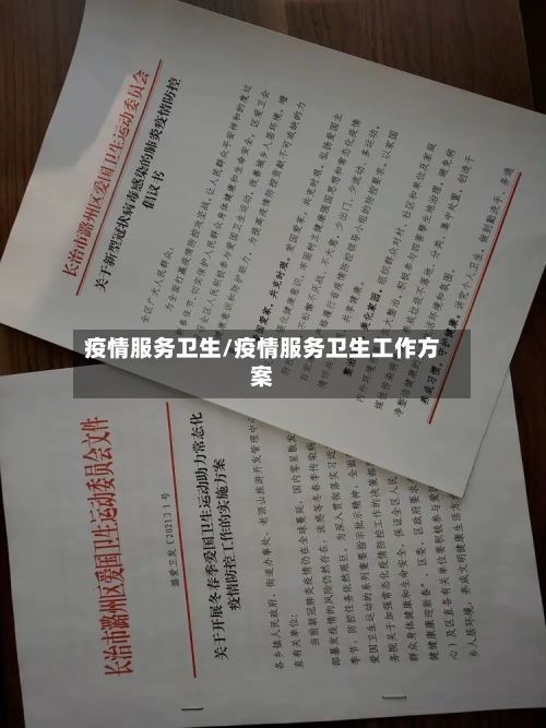 疫情服务卫生/疫情服务卫生工作方案-第2张图片