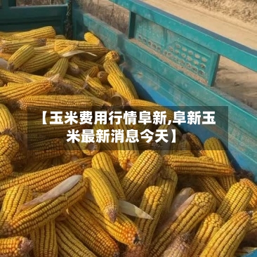 【玉米费用行情阜新,阜新玉米最新消息今天】-第2张图片