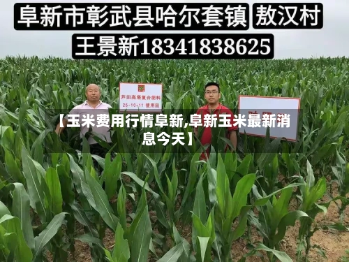 【玉米费用行情阜新,阜新玉米最新消息今天】