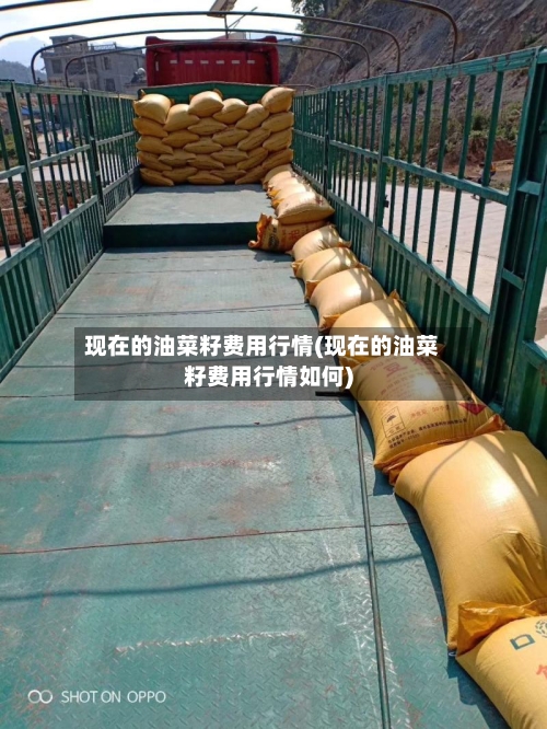 现在的油菜籽费用行情(现在的油菜籽费用行情如何)