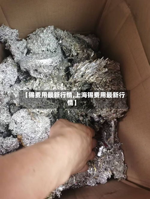 【锡费用最新行情,上海锡费用最新行情】-第3张图片