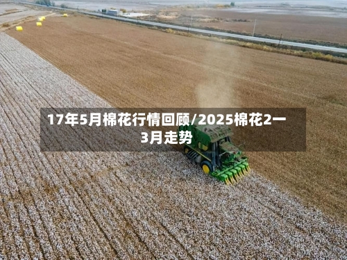 17年5月棉花行情回顾/2025棉花2一3月走势-第3张图片