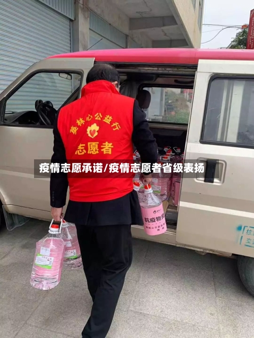 疫情志愿承诺/疫情志愿者省级表扬