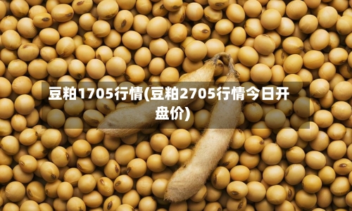 豆粕1705行情(豆粕2705行情今日开盘价)-第3张图片