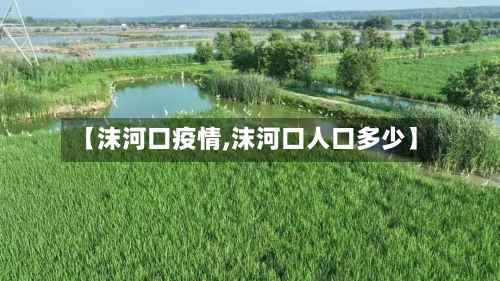 【沫河口疫情,沫河口人口多少】