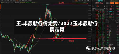 玉.米最新行情走势/2027玉米最新行情走势-第2张图片