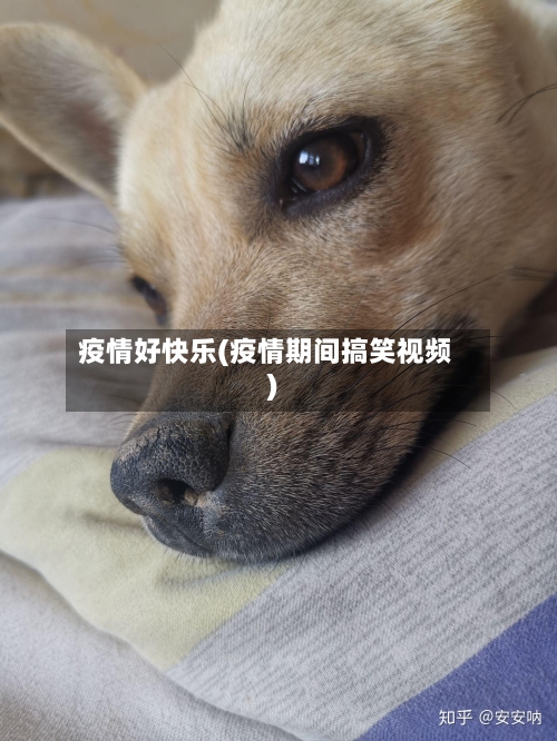 疫情好快乐(疫情期间搞笑视频)-第2张图片